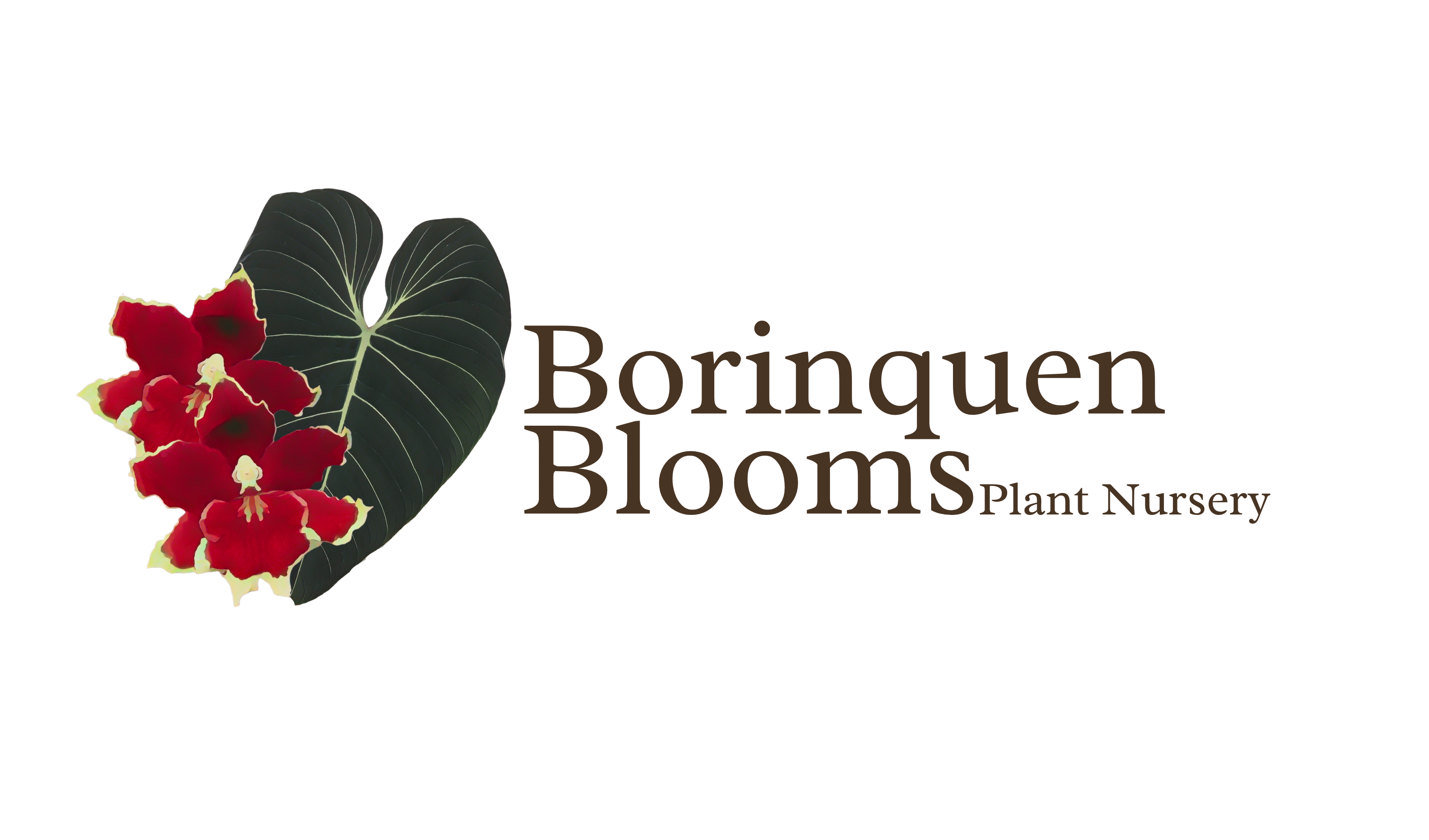 Borinquen Blooms