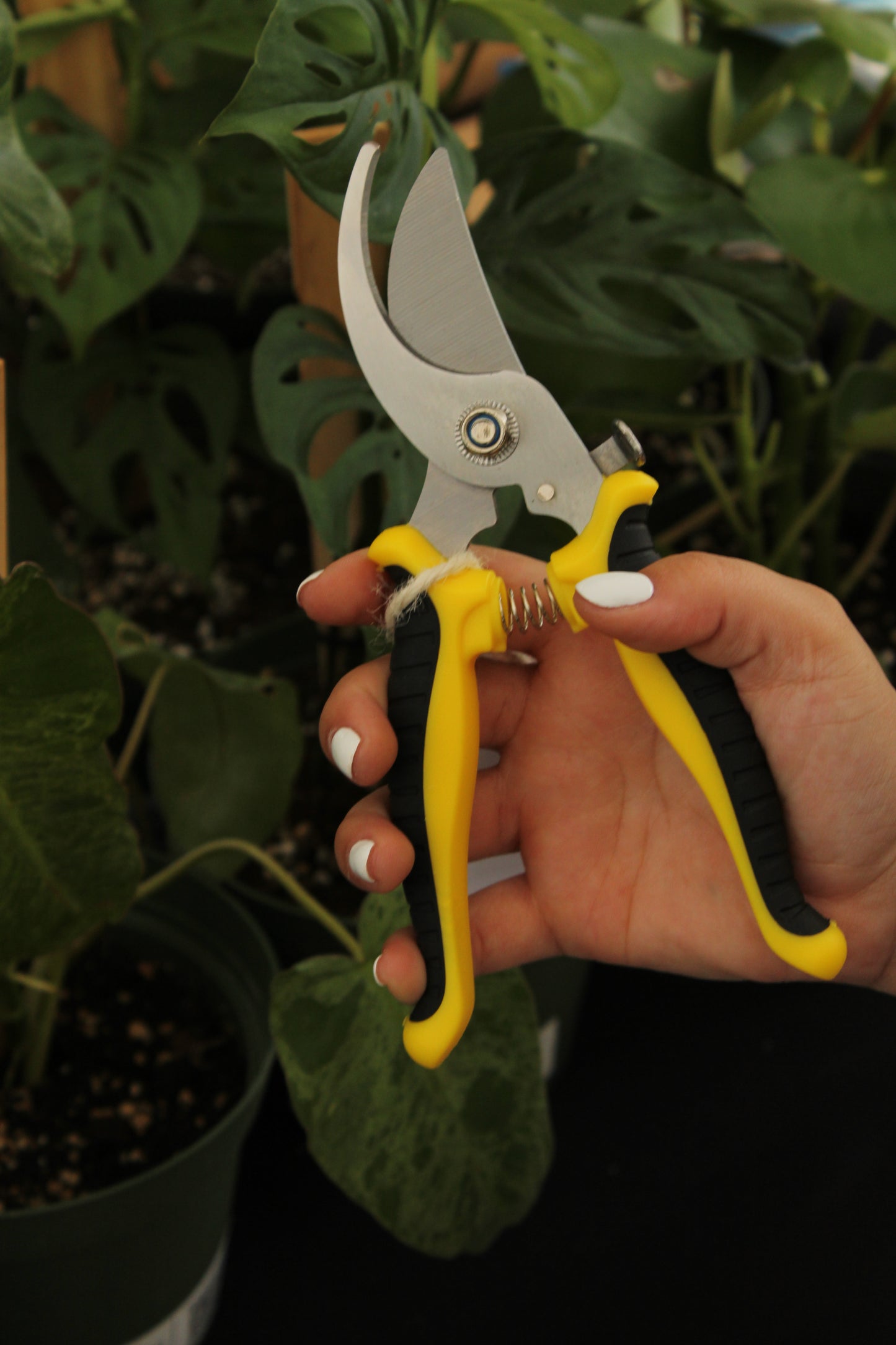 Heavy Duty Stainless Steel Pruning Shears