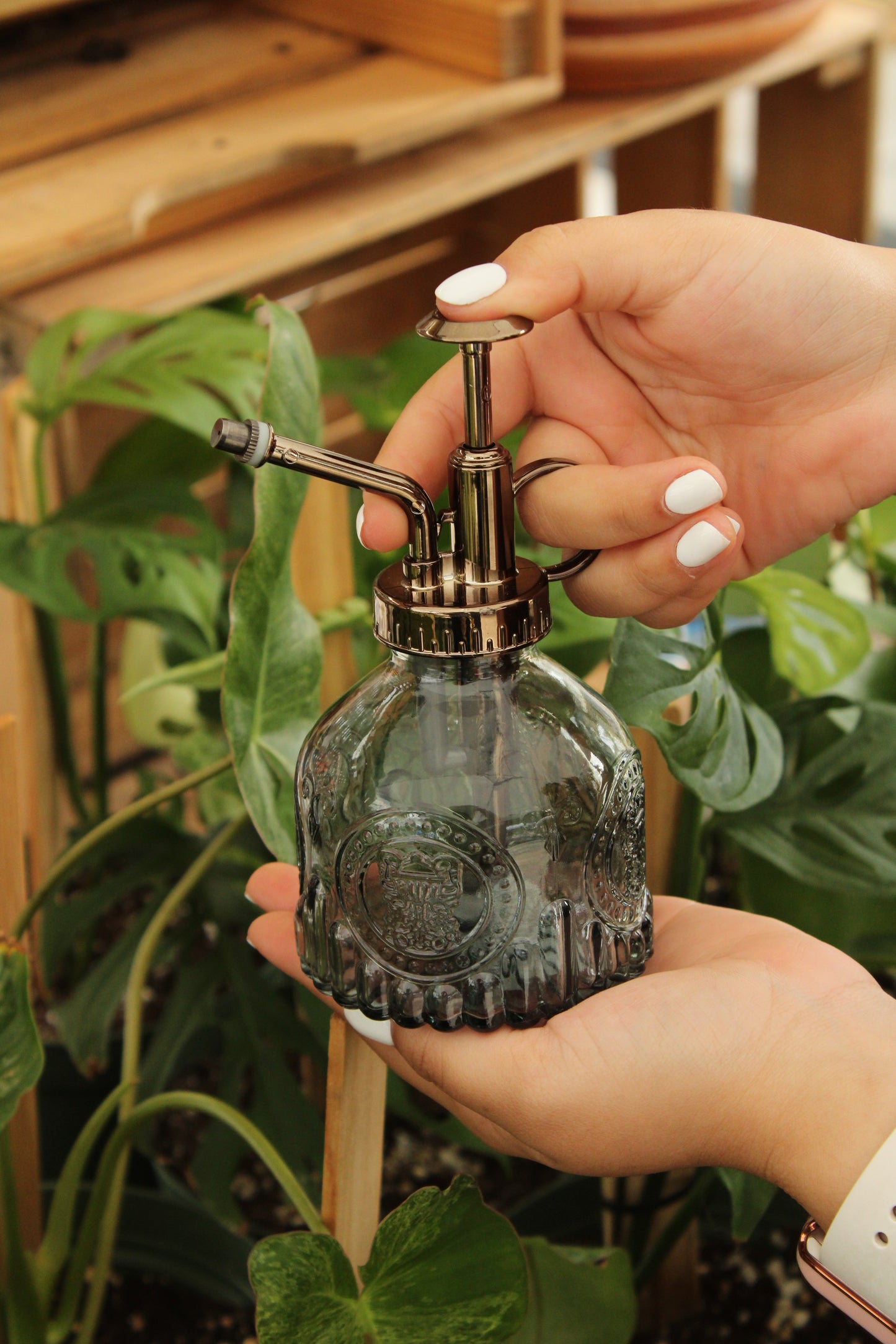 Glass Plant Mister Spray Bottle