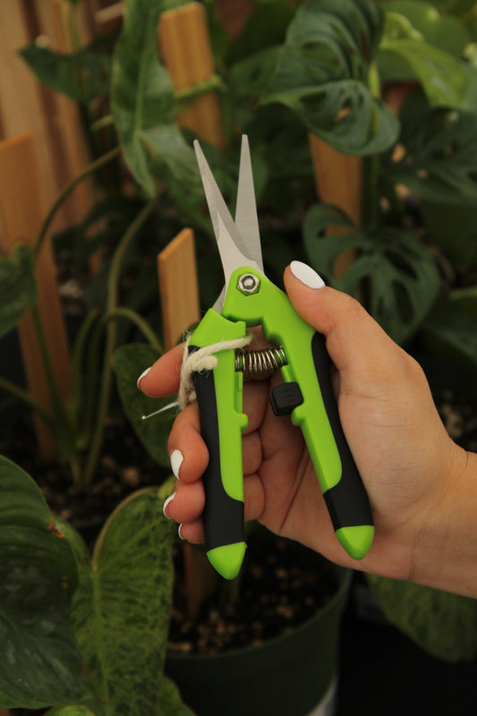 Stainless Steel Pruning Shears