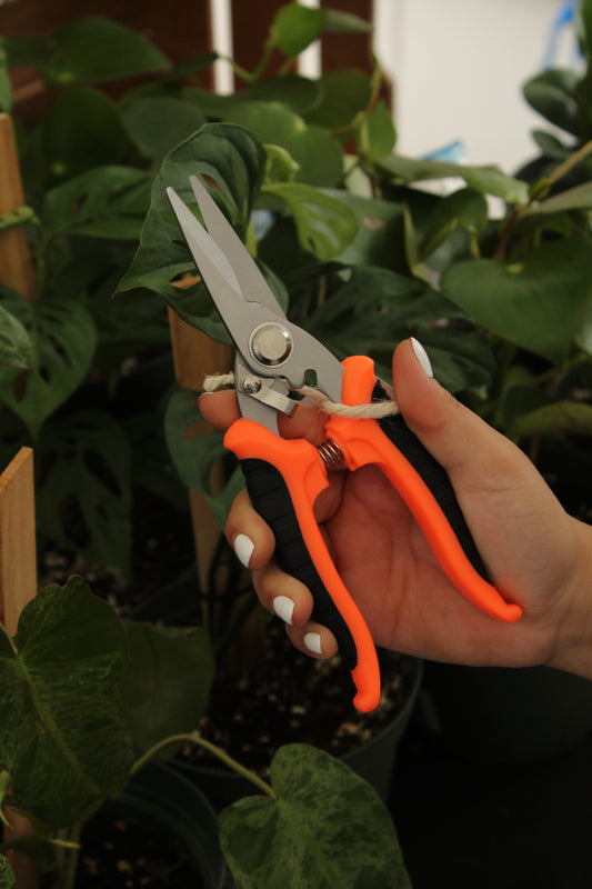 Heavy Duty Stainless Steel Pruning Shears